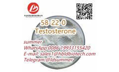 Testosterone - Steroid Hormone Testosterone CAS: 58-22-0