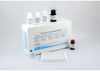 Qualitative Fecal H. pylori Antigen ELISA Kit