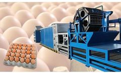 Shuliy - Industrial Egg Tray Production Line