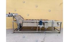 Taizy Machinery - Fruit and vegetable cleaning machine