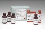 Axis-Shield - Model HbA1c -FHHBA100 - Immunoturbidimetric Immuno Assay Kit