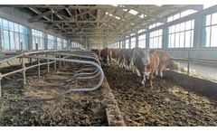 How to choose dehydration equipment for livestock and poultry manure