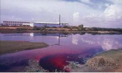 How to treatment the sludge wastewater of printing and dyeing
