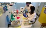 Helix Diagnostics explains the COVID-19 testing process - Video