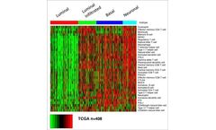 GeneCentric - Bladder Cancer Subtype Profiler (BCSP)