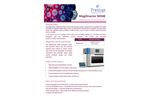 MagXtractor - Model MX48 - Automatic Nucleic Acid Extractor Brochure