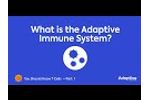 What is the Adaptive Immune System? - Video