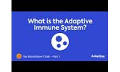 What is the Adaptive Immune System? - Video