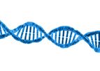 Novel Epigenetic Biomarkers Technology