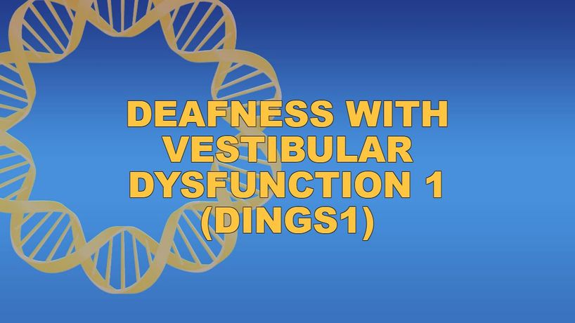 GenSol - Model DINGS1 - Deafness with Vestibular Dysfunction 1