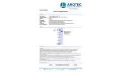 AROTEC - Model ATT01 - Tissue Transglutaminase (tTG) - Brochure