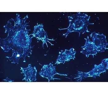 AIVITA - Cancer Immunotherapy