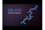 SB-030 Molecule Method of Action - Video