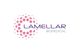 Lamellar Biomedical Ltd