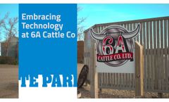 A Cattle Feedlot Embracing New Technology | 6A Cattle Co - Video