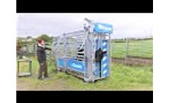 A Cattle Crush Built To Last | Douglas Frame, UK