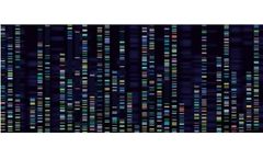 Next-Generation Sequencing Based on htDNA-chip®