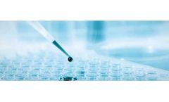 DNA-based Testing Based on htDNA-chip®