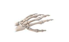 Osteotec - Silicone Finger Implant