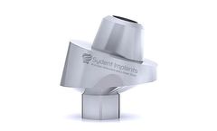 Sydent - Premium 17° Angled Multi Unit Titanium Abutment Full Set for Dental Implant – Internal Hex
