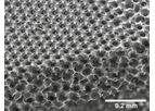 STAR - Biomaterial Scaffold