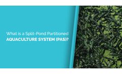 What is a Split-Pond Partitioned Aquaculture System (PAS)?