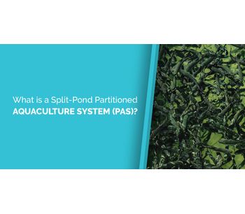 What is a Split-Pond Partitioned Aquaculture System (PAS)?