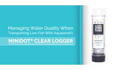 Managing Water Quality When Transporting Live Fish Using Aquasend’s miniDOT® Clear Logger