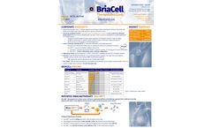 BriaCell - Corporate Highlights - Datasheet