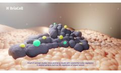 How Bria-IMT and Bria-OTS Destroy Cancer Cells - Video