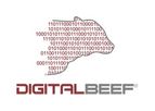 DigitalBeef CowCalf Manager - Herd Management Software