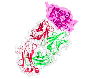 Model BC 6340 - West Nile Virus Antigen, Uganda Strain B956