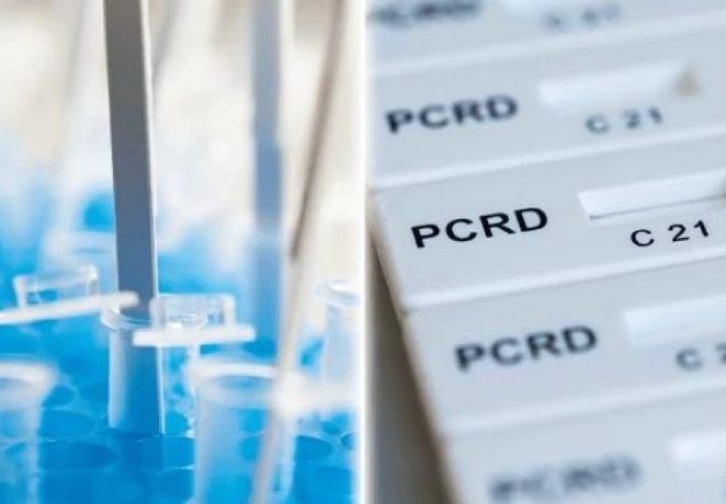 Abingdon - Model PCRD and PCRD Flex - Nucleic Acid Lateral Flow Tests