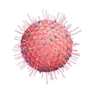 Human Herpes Simplex Virus Type-1(HSV) Vaccine-1