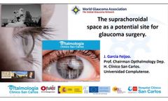 The suprachoroidal space as a potential site for glaucoma surgery - Video