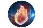 Pulstream - Monitoring Devices for Heart Condition and Entire Cardial System