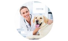Medical - Model Pet & Less - Veterinary Treatment of Animals