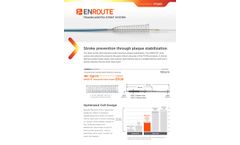 ENROUTE - Transcarotid Stent System Brochure