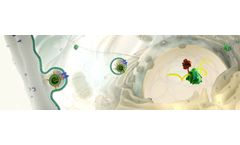 Acuitas - mRNA Therapeutics Technology