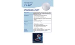 END BALL - Intra-Gastric Balloon System Datasheet