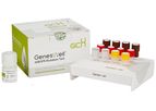 GenesWell - Model ddEGFR - Mutation Test Kit
