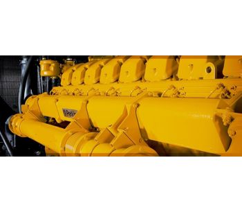 Perkins Diesel Generator Set-1