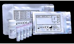 Genomtec - SARS-Cov-2 EvaGreen Direct-RT-LAMP CE-IVD Kit