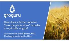 How does a Farmer Monitor `How the Plants Drink` in Order to Optimally Irrigate? - Video