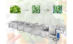 Gelgoog - Model GG-XQ - Commercial Broccoli Cauliflower Cleaning Washing Machine