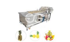 Gelgoog - Model GG-XQ - Automatic Pineapple Cleaning Washing Processing Machine