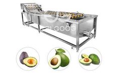 Gelgoog - Model GG-XQ - Commercial Avocado Washing Cleaning and Processing Machine