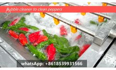 Pepper Chili Cleaning Washing Processing Machine - Video