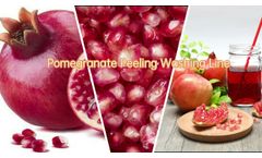 Automatic Pomegranate Washing and Peeling Line|Pomegranate Juice Production Line - Video