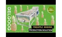 Commercial Pineapple Washing Machine|Air Bubble Pineapple Fruit Washing Machine - Video